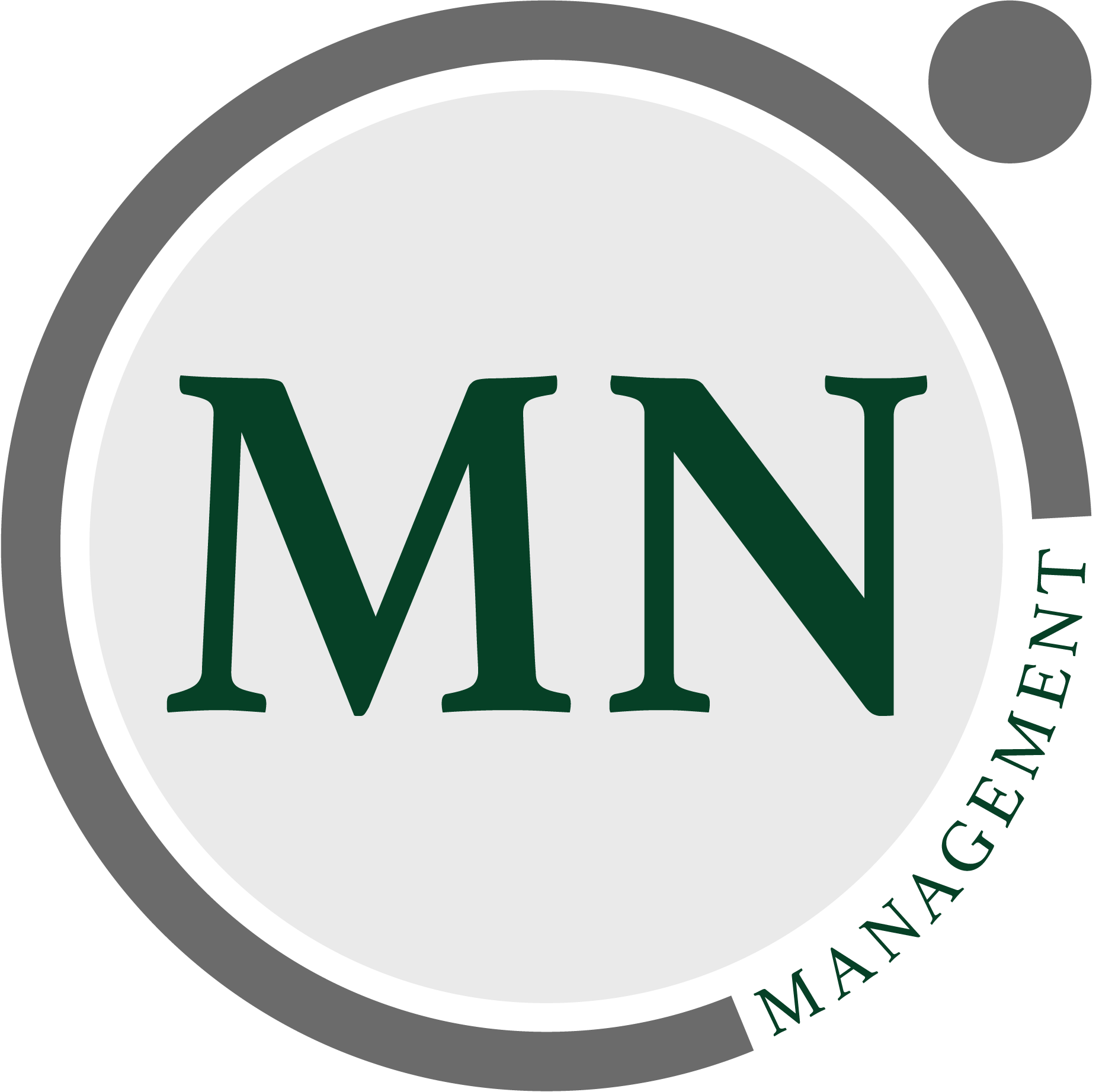 Logo MN Management